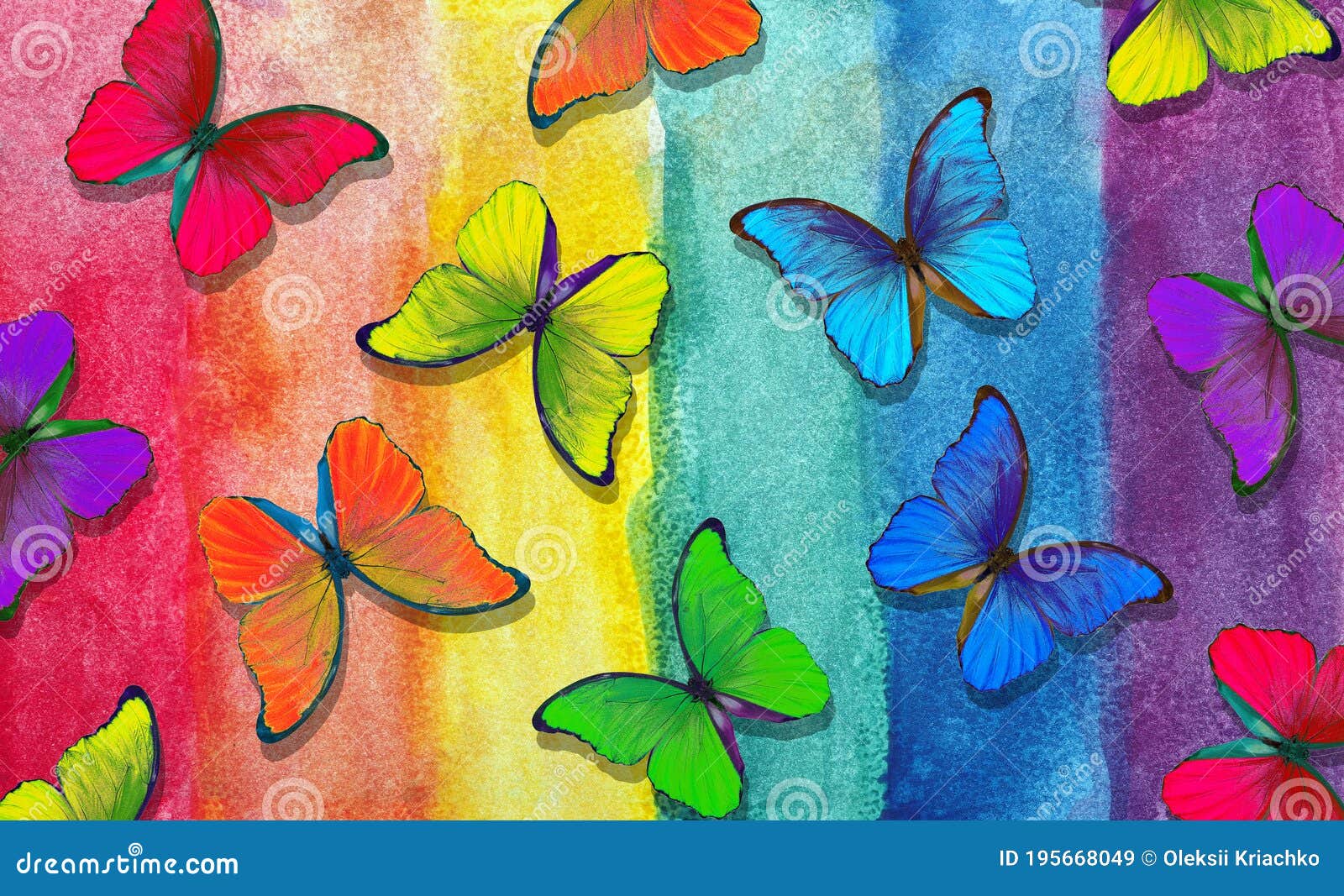 duif instinct Algemeen Kleuren Van De Regenboog. Patroon Van Meerkleurige Morfovlinders. Abstract  Kleurig Patroon. Meerkleurige Kleurtinten. Stock Afbeelding - Image of  mooi, verf: 195668049