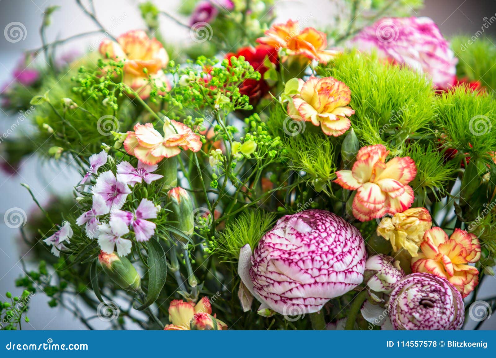 Kleurrijk bloemboeket stock foto. Image of anjer, regeling - 114557578