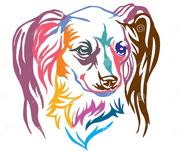 Kleurrijk Decoratief Portret Van Hond Langharig Russisch Toy Ter Vector