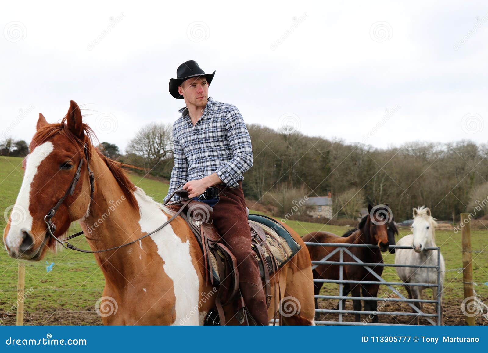 Plasticiteit lengte passen Knappe Cowboy Op Paard Met Paarden Op De Achtergrond Stock Afbeelding -  Image of knap, zadel: 113305777