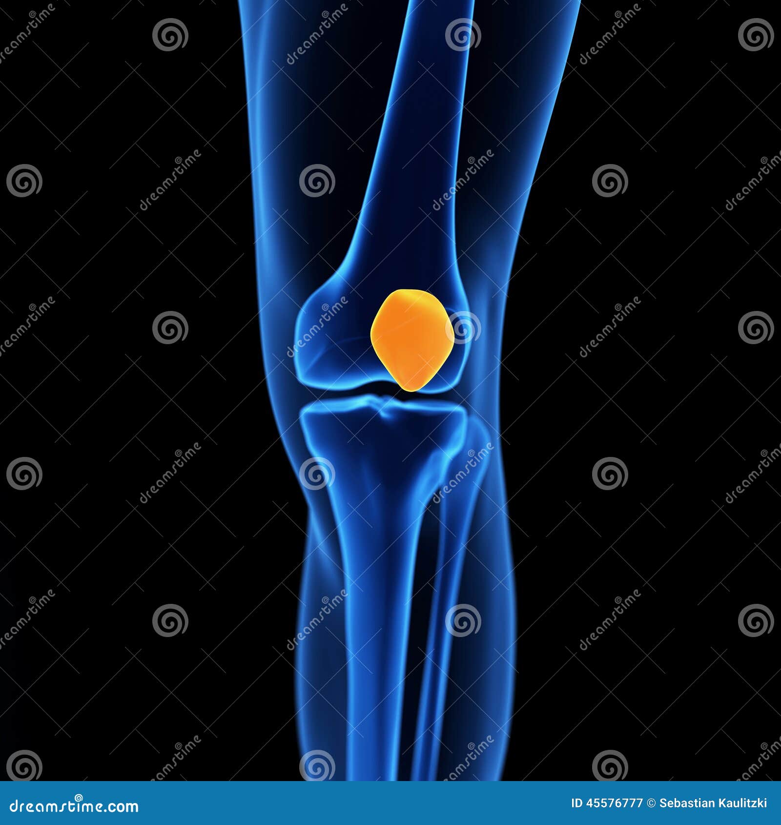 The knee cap stock illustration. Illustration of bones 45576777