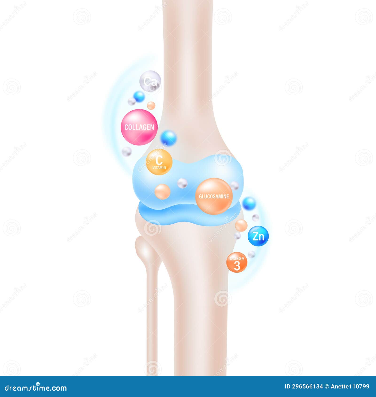 Knee Nutrition Elements Vector Stock Illustration Illustration of