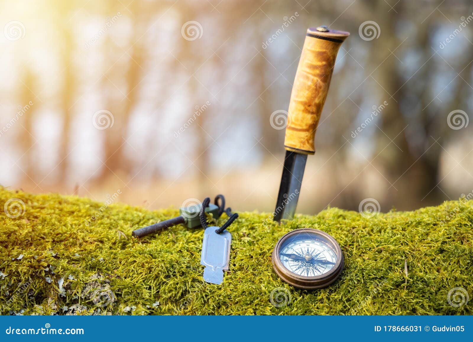 Knife, Compass and Fire Starter on Moss in the Spring Forest. Stock Image Image of adventure
