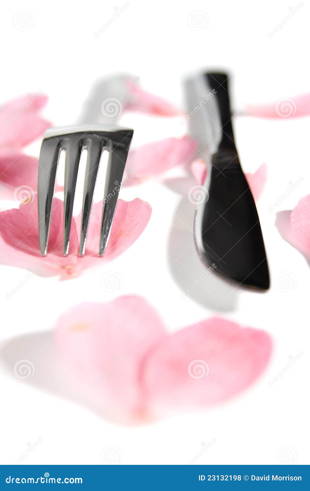 Knife and Fork Isolated with Rose Petals Stock Photo Image of luxury, quality 23132198
