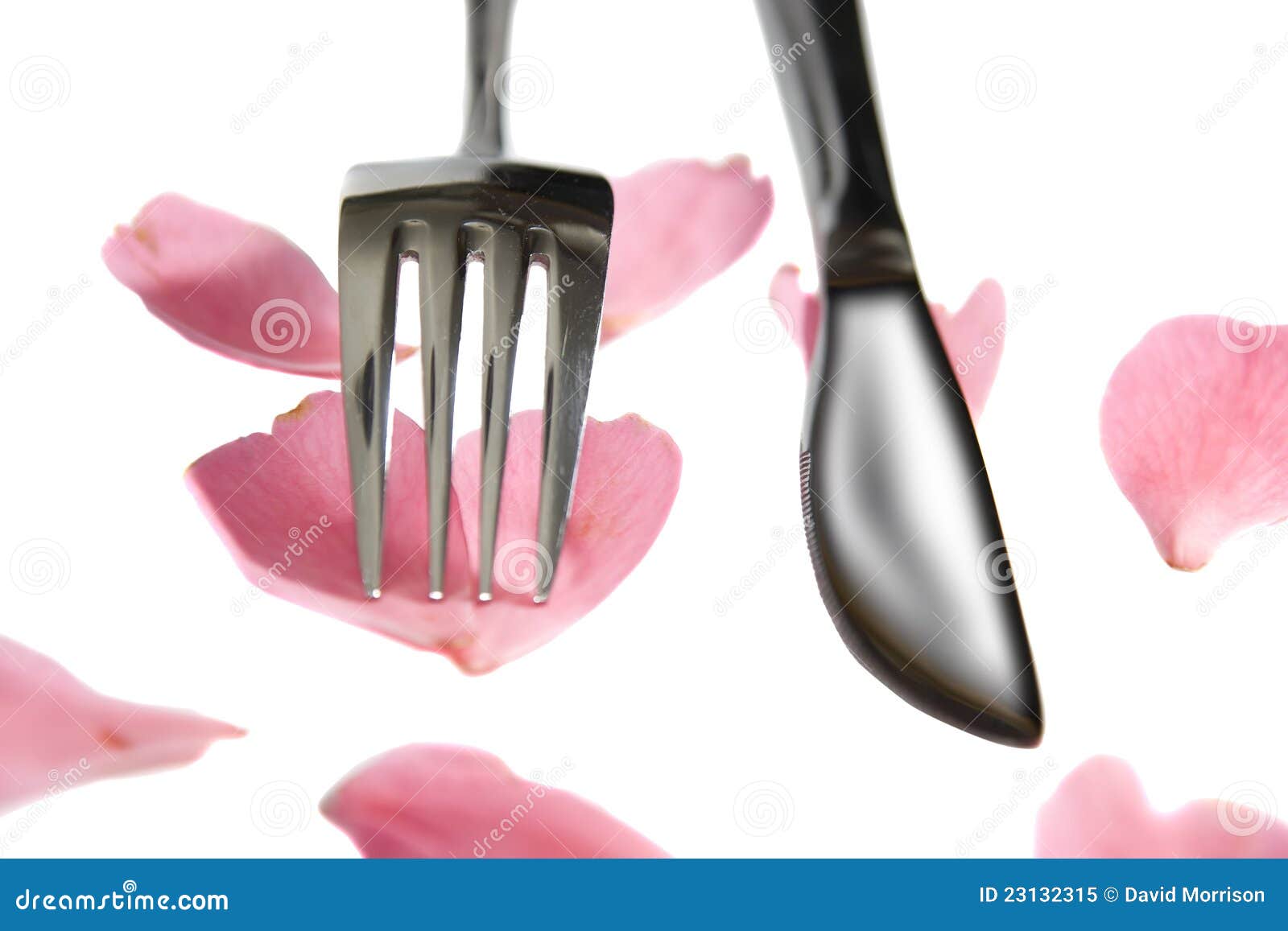 Knife and Fork Isolated with Rose Petals Stock Image Image of cutlery, plate 23132315
