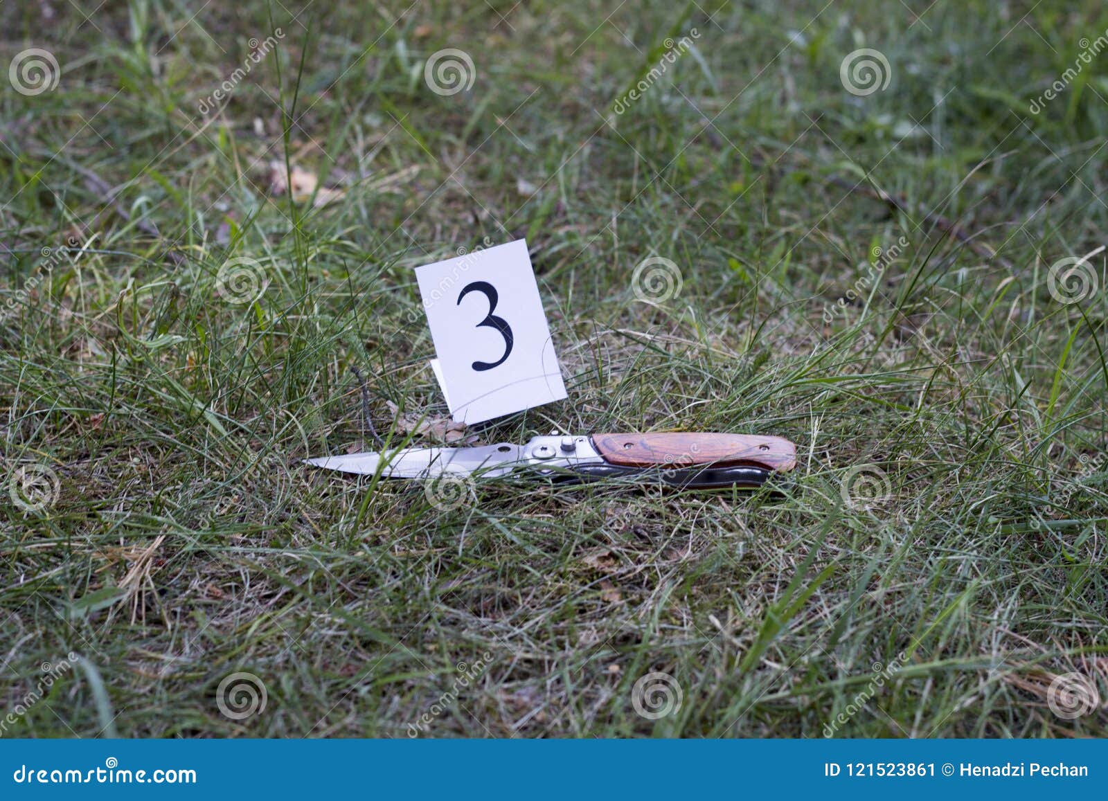 knife on the grass, investigation, murder