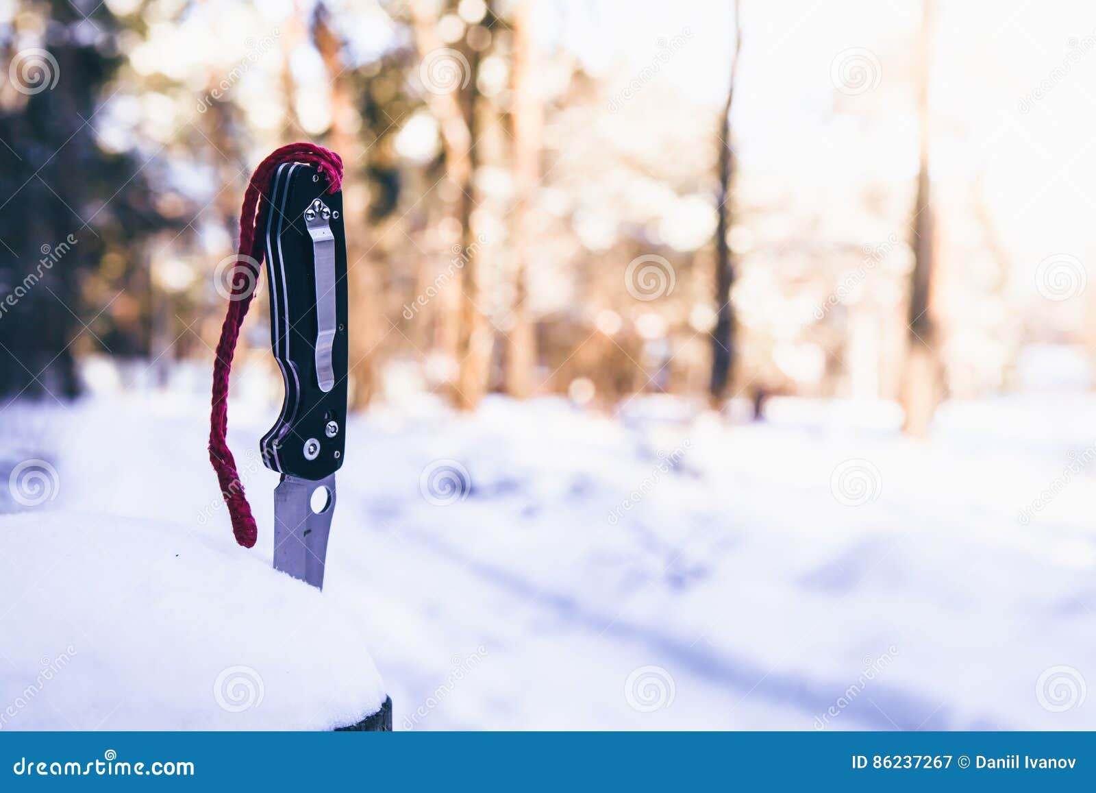 The Knife Sticks Out in a Tree Stock Image Image of forest, winter