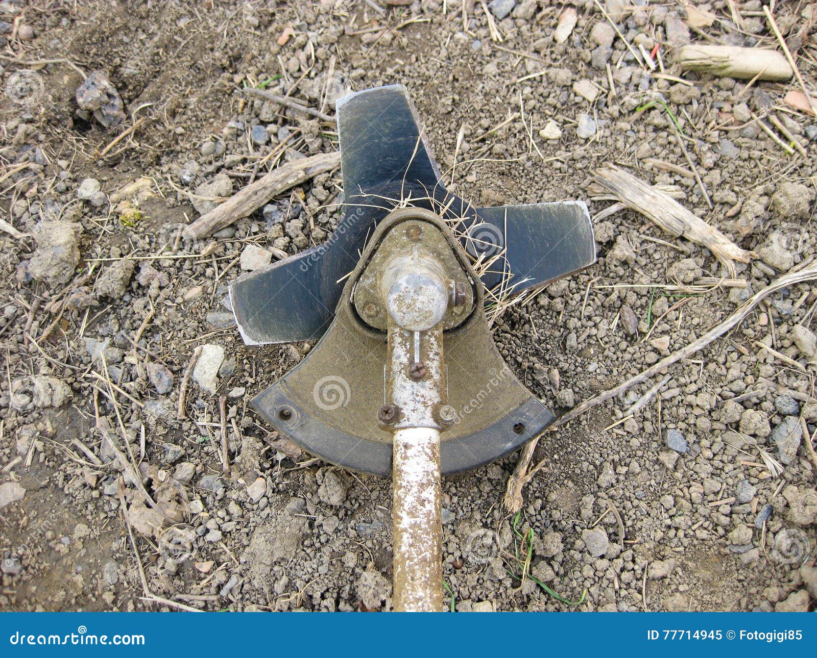 Knife on the Trimmer for Cutting Grass and Bushes Stock Image Image