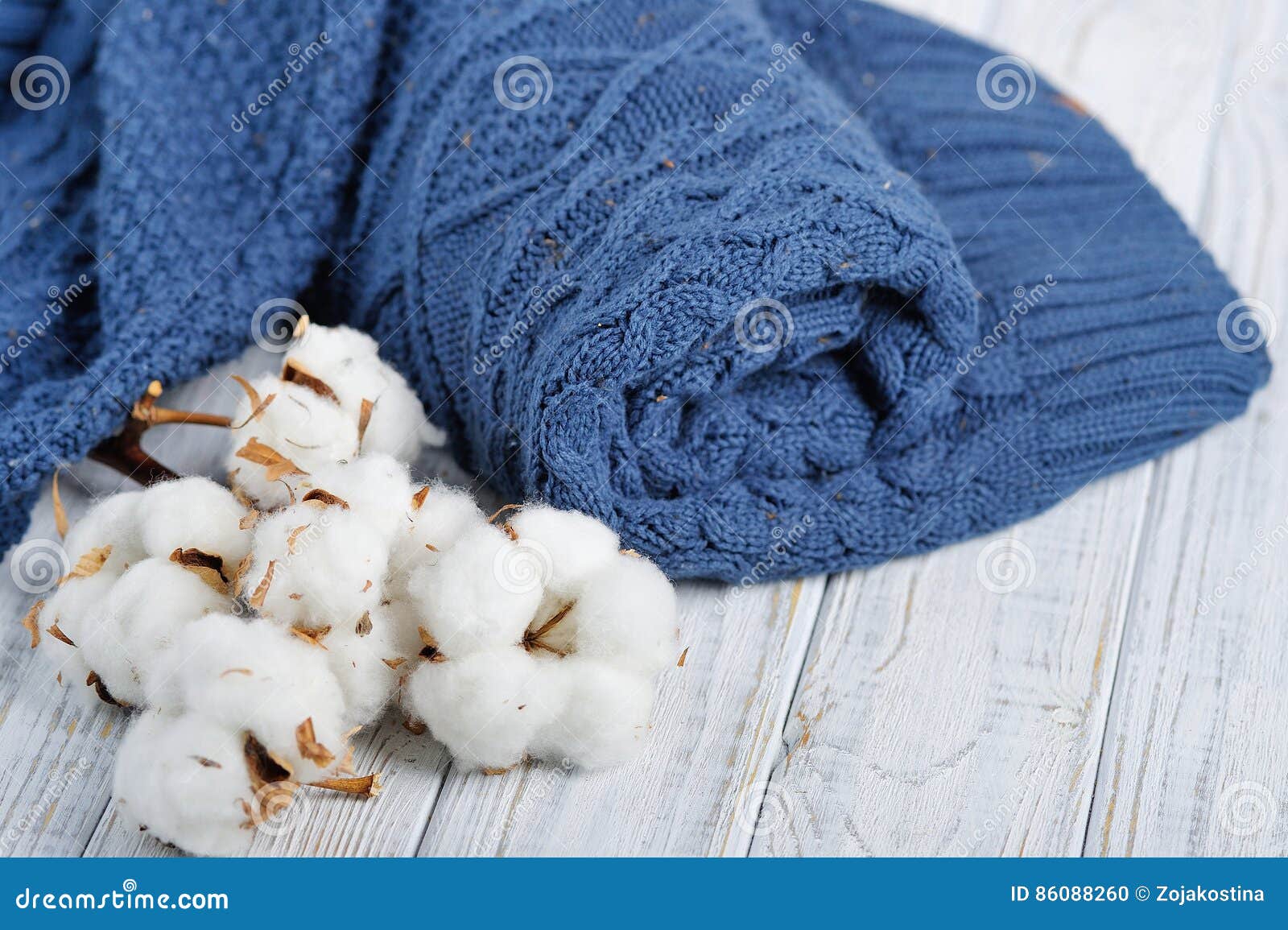 Knitted Sweater and Delicate White Cotton Flowers Stock Photo - Image ...