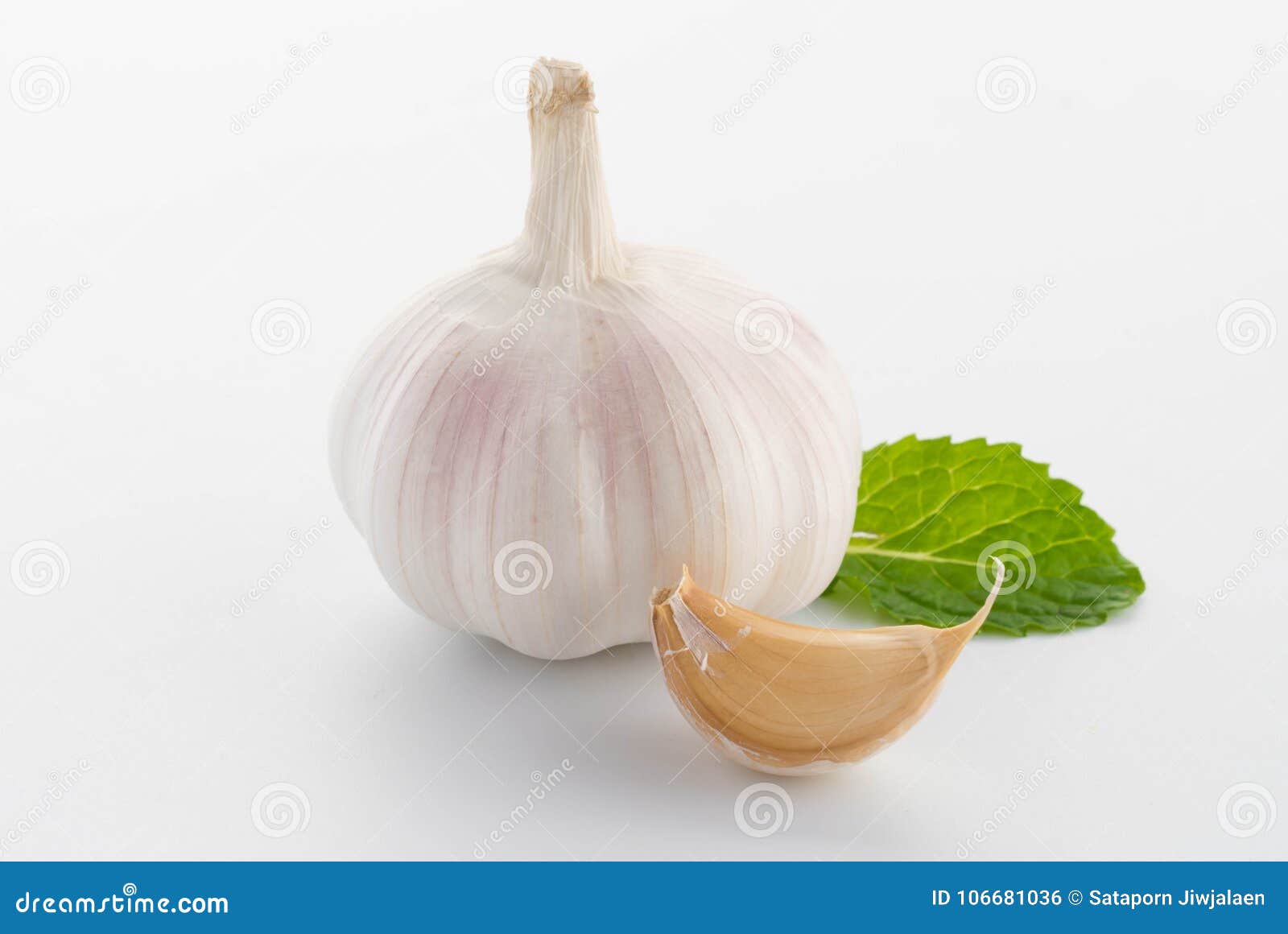 Knoblauch mit den Blättern der grünen Minze lokalisiert auf Weiß