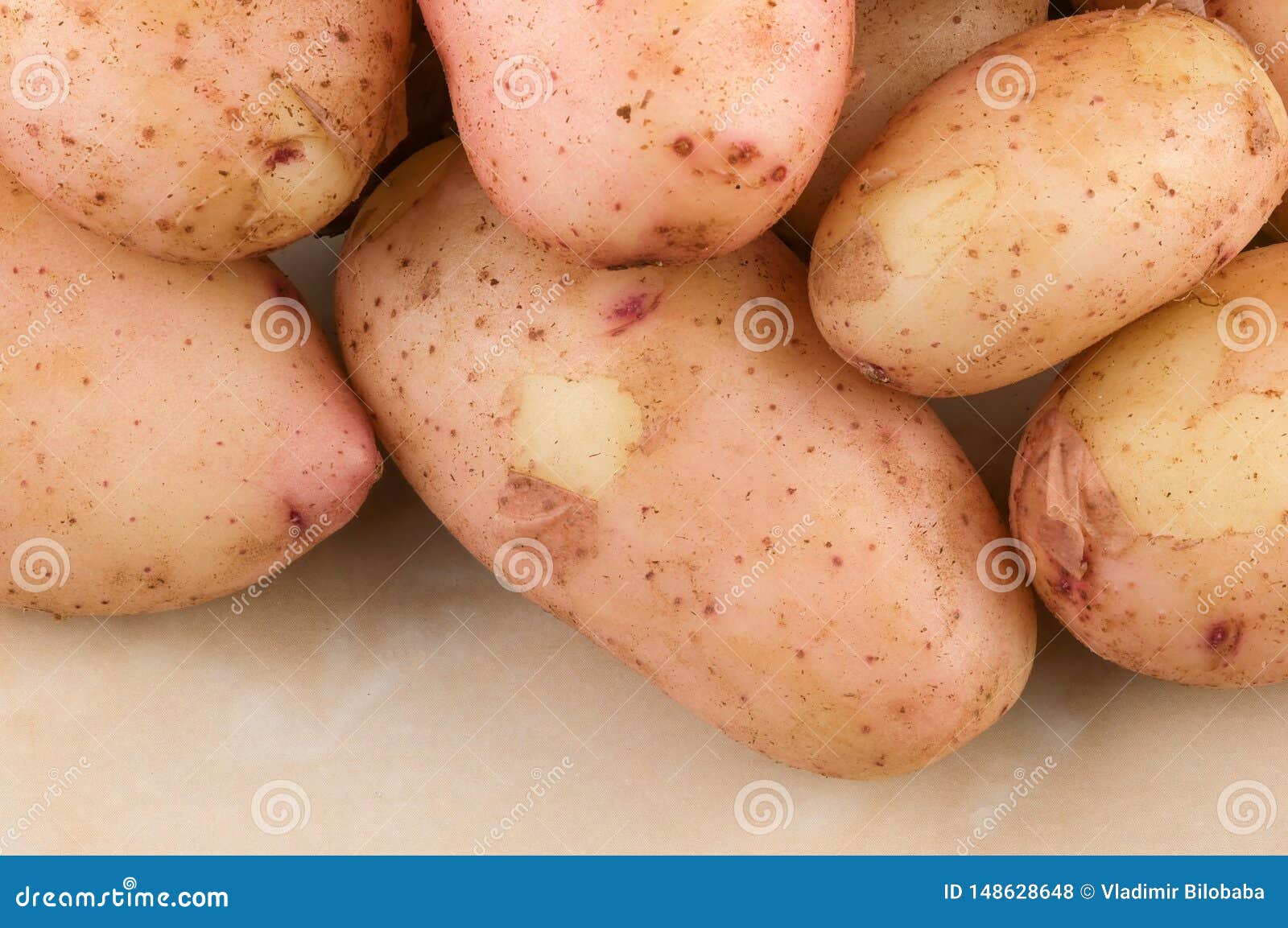 Knollen Von Jungen Rohen Kartoffeln Stockfoto - Bild von frech, küche ...