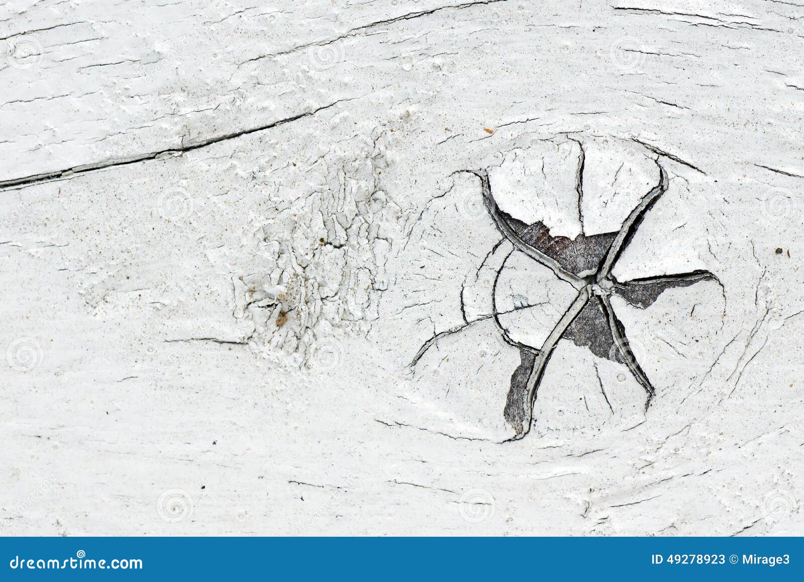 Knot On Old White Paint Wood Stock Image Image of horizontal, detail