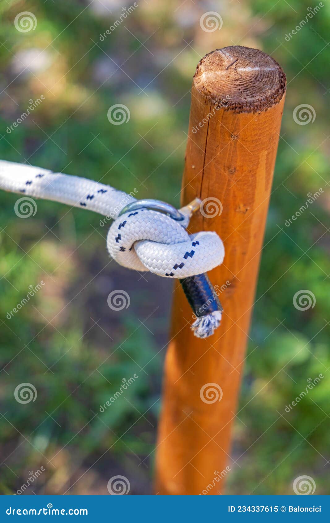 Knot Rope Pole stock image. Image of knot, wooden, 2021 234337615