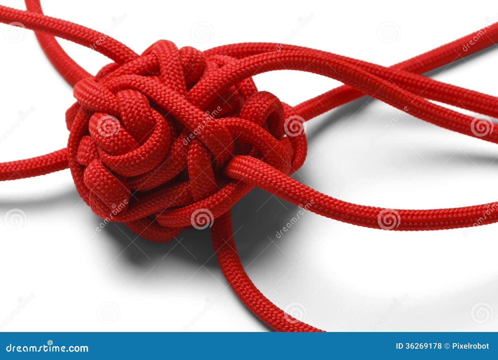 knot tangle