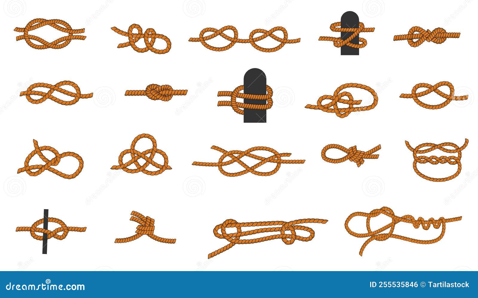 Knot Types. Cartoon Knotted Rope with Ties and Threads for Boating