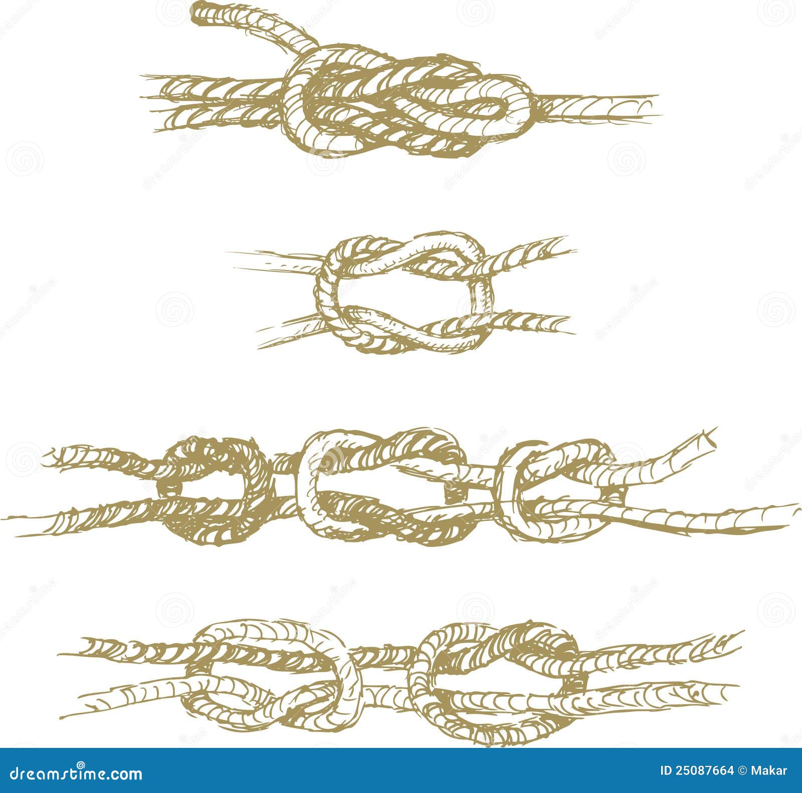 Knots Stock Vector Illustration Of Knot Drawn White 25087664 Knots Stock Vector Illustration Of Knot Drawn White 25087664