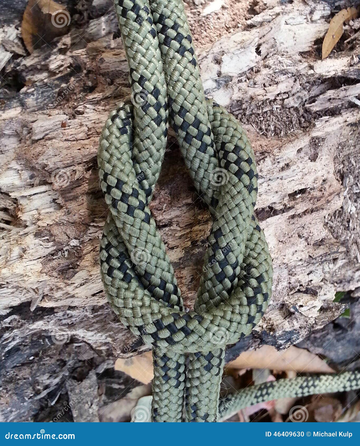 Knots and Rope stock photo. Image of knot, bushcraft 46409630