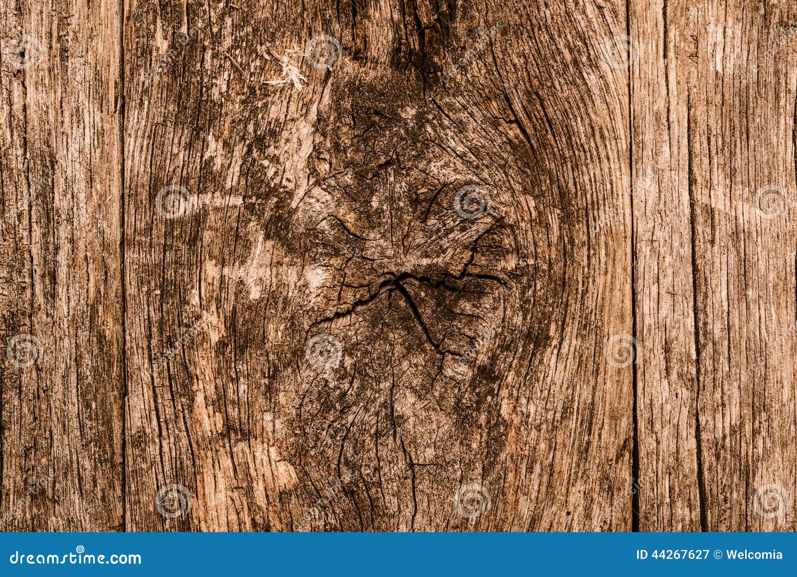 Knotted Wood Background stock image. Image of aged, floor 44267627
