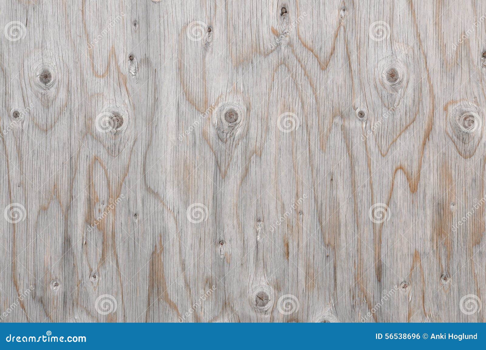 Knotted wood stock photo. Image of parquet, arboreal 56538696
