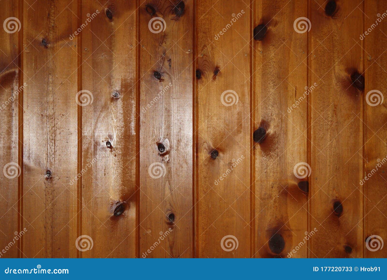 Amazing Collection of Knotty Pine Wood Background for High-Quality Designs