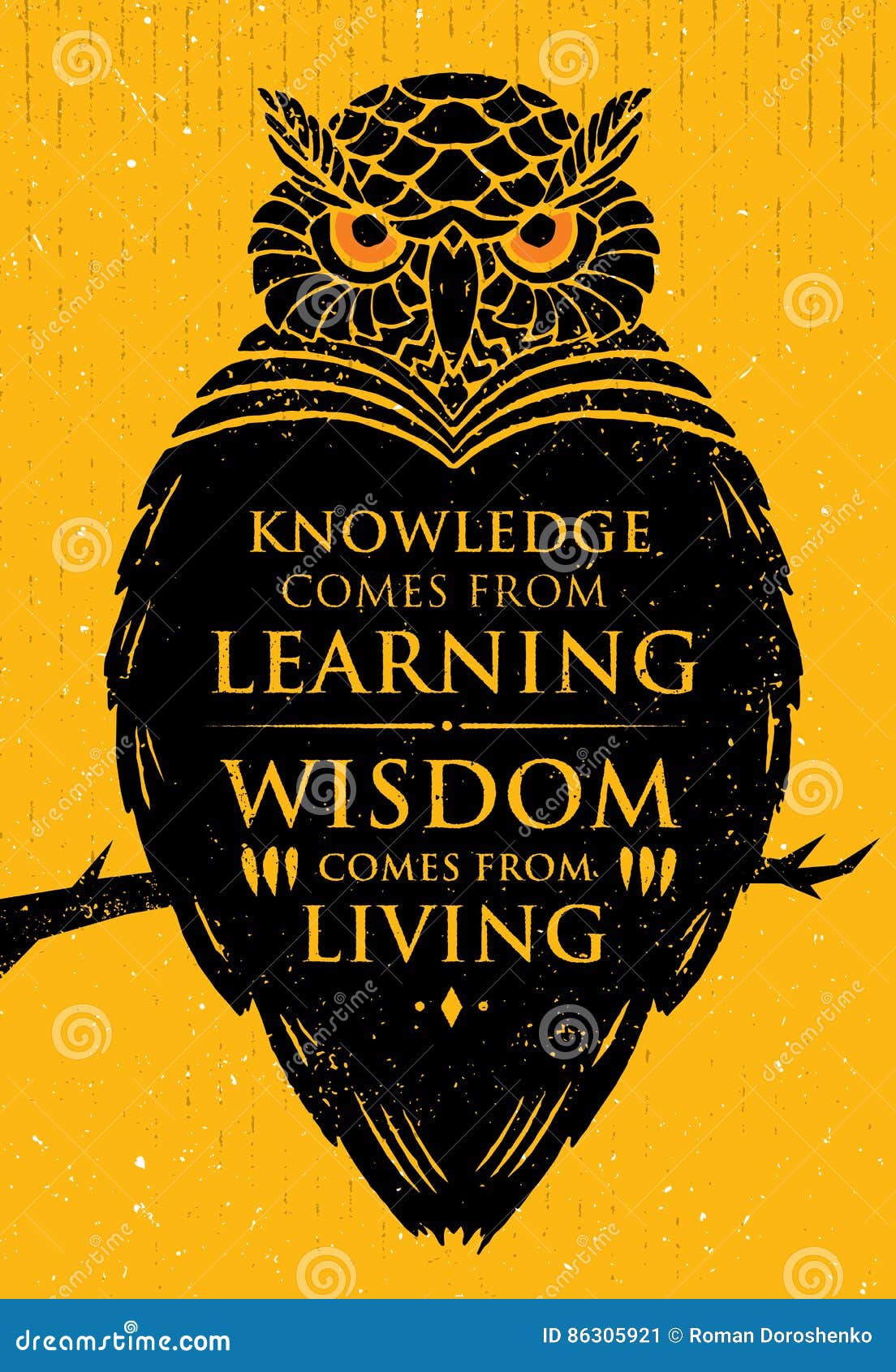 knowledge comes from learning. wisdom comes from living. inspiring creative motivation quote. owl  banner