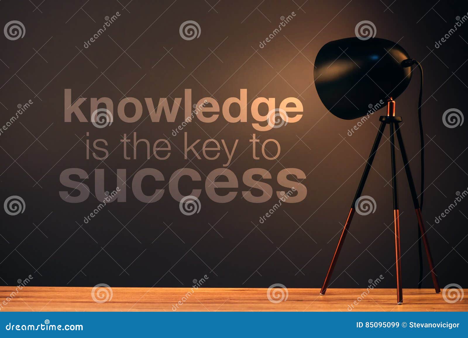 knowledge is the key to success