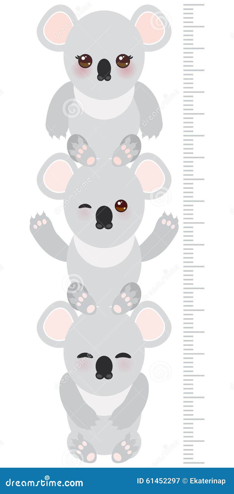 Koala. Children height meter wall sticker, kids measure, Growth Chart. Vector illustration
