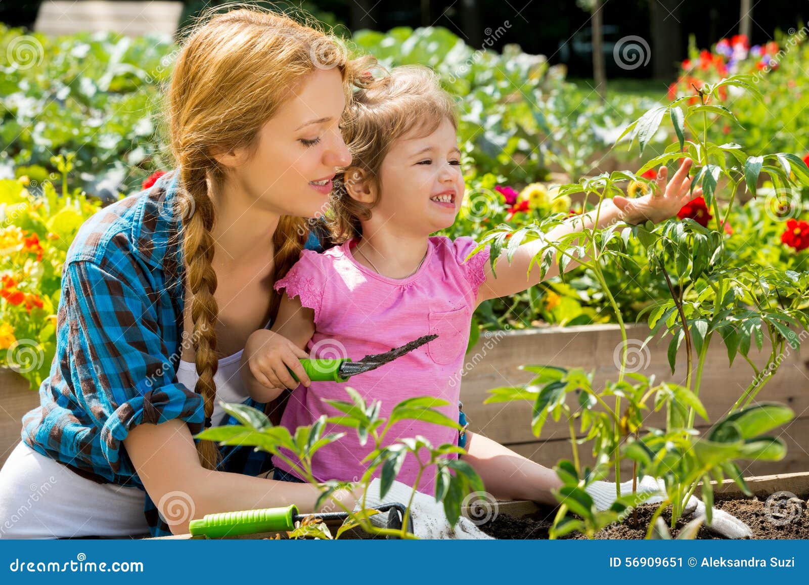Kobieta z jej małą córką w ogródzie. Kobieta z jej małą córką zasadza kwiatu w ogródzie