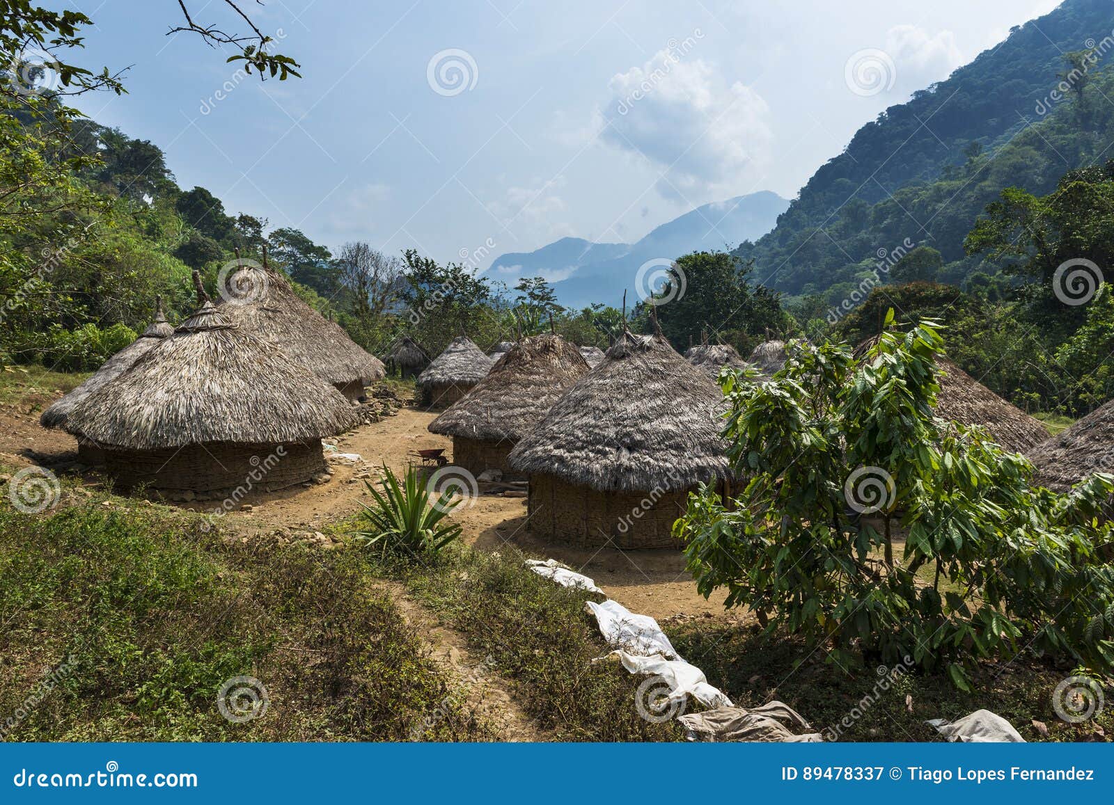 kogi village in the forest in the sierra nevada de santa marta in colombia
