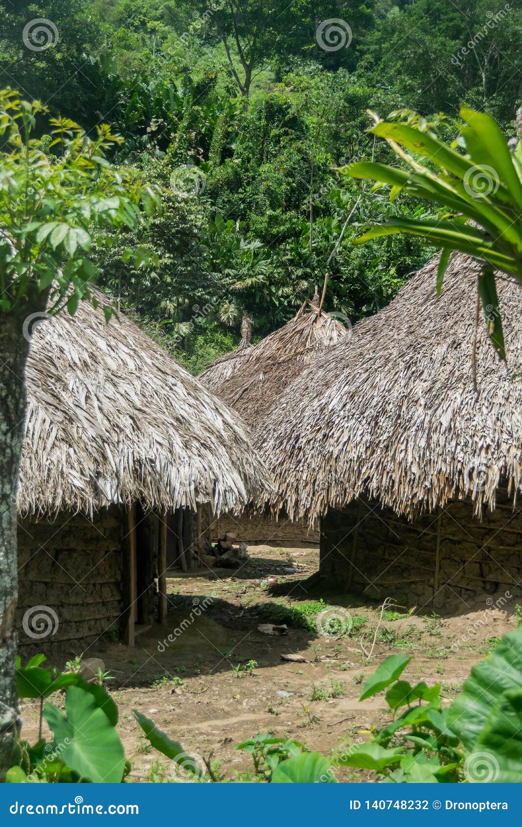 kogui huts in an indigenous village at sierra nevada of santa marta in colombia