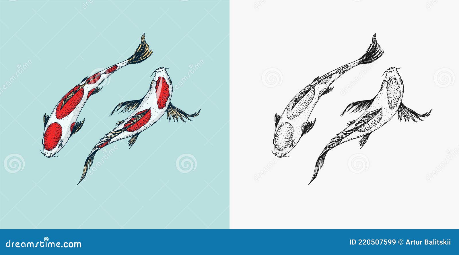 Koi Carp, Japanese Fish. Korean Animal. Engraved Hand Drawn Line Art  Vintage Tattoo Monochrome Sketch for Poster or Stock Vector - Illustration  of lake, animal: 220507599