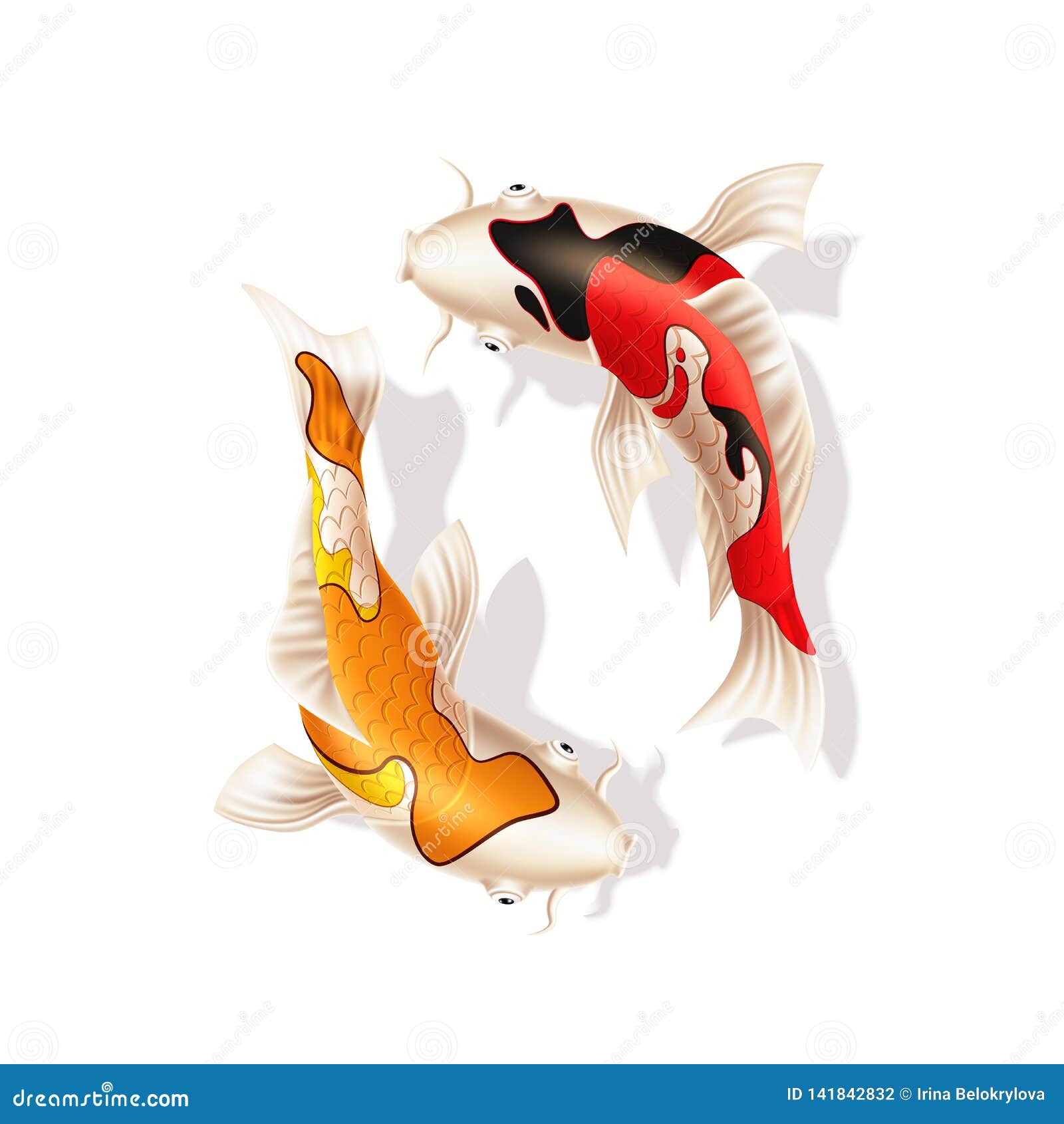 My Image 25