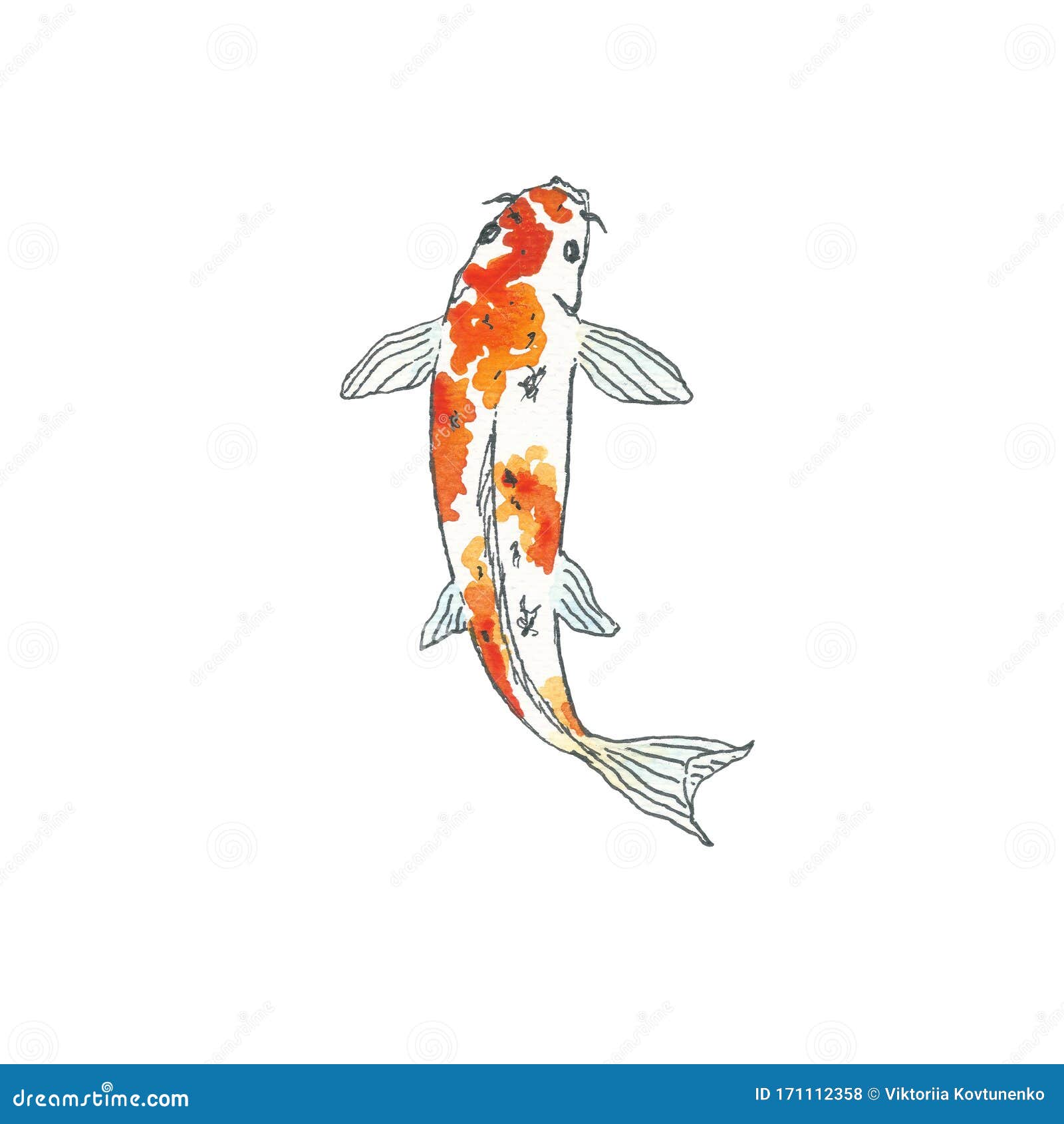 Koi Fish Hand Drawing Sketch Black Outline On White Background Watercolor Illustration Stock Illustration Illustration Of Life Animal