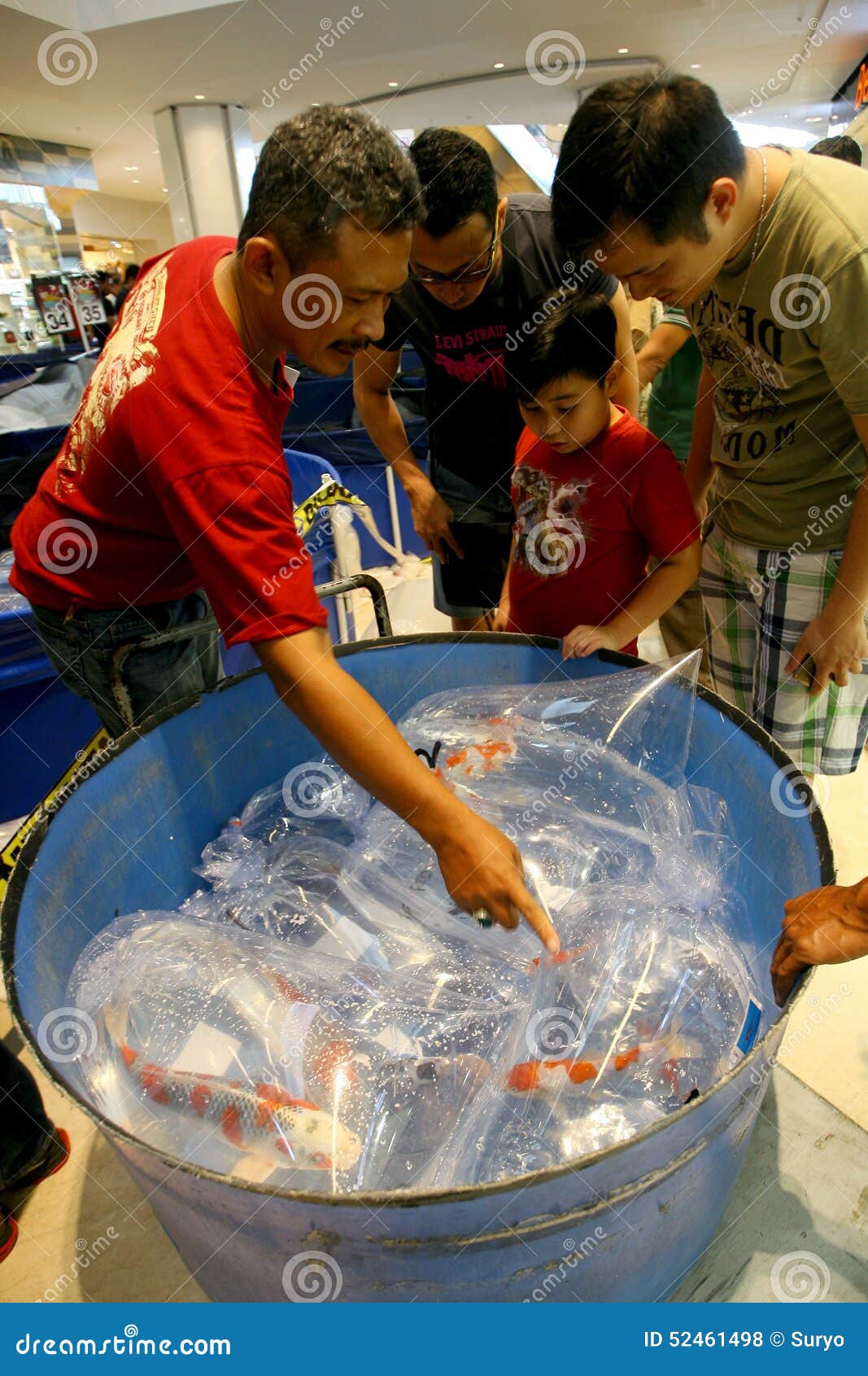 Koi fish editorial stock photo. Image of hundreds, atrium - 52461498