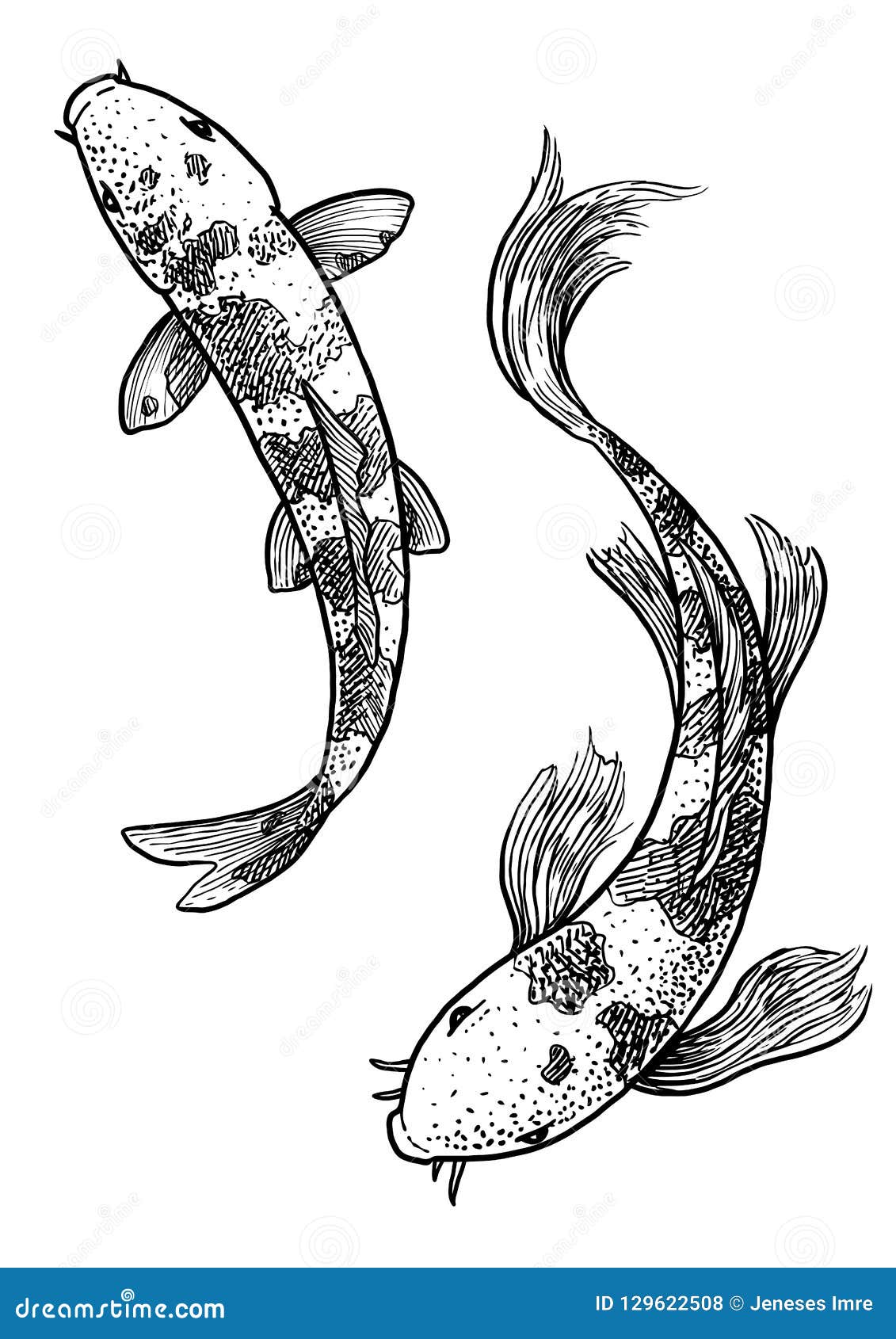 Koi Fish Line Art 