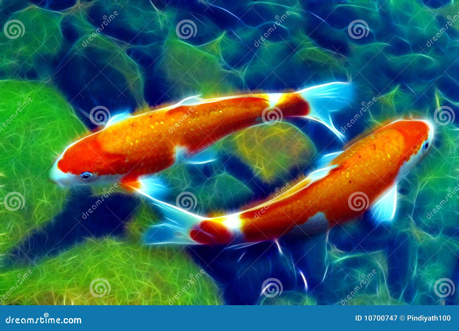 https://thumbs.dreamstime.com/z/koi-fish-yin-yang-10700747.jpg