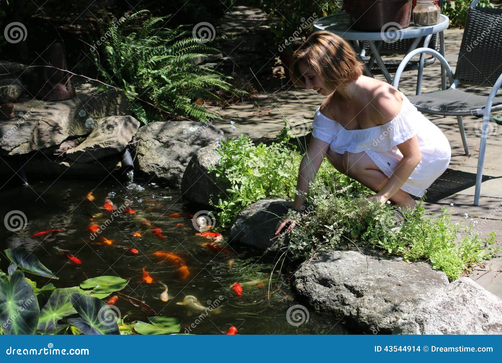 koi pond