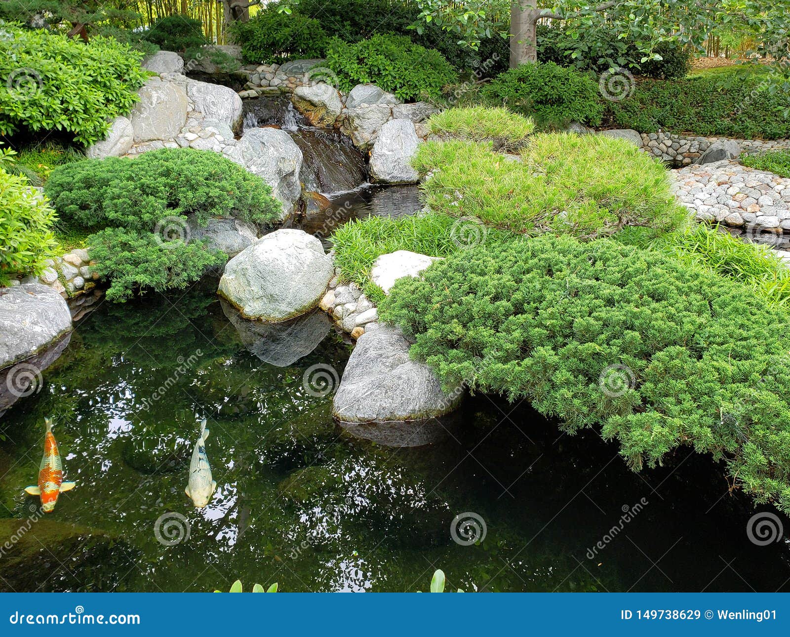 Koi Pond Design In Japanese Friendship Garden Balboa Park San