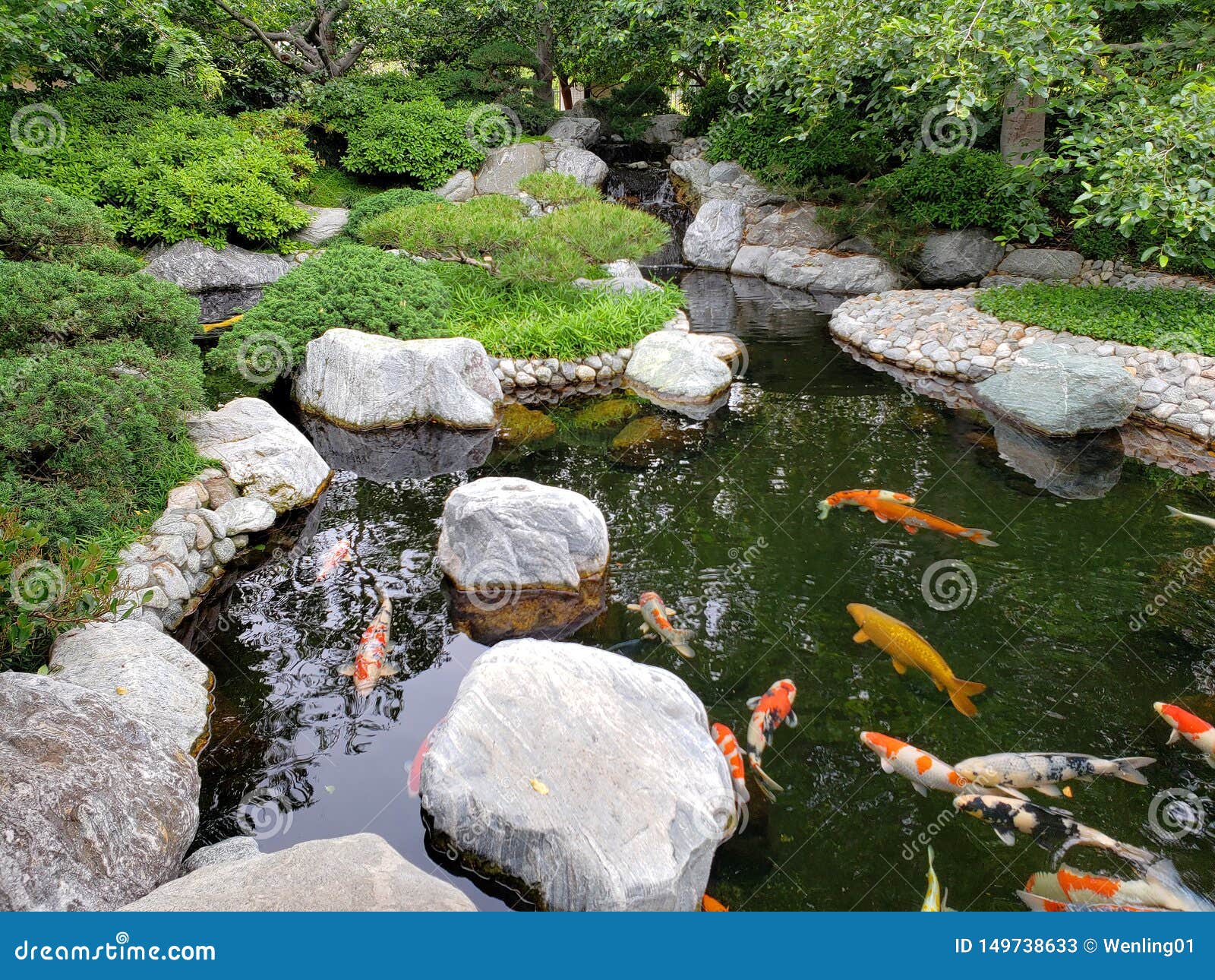 Koi Pond Design In Japanese Friendship Garden Balboa Park San