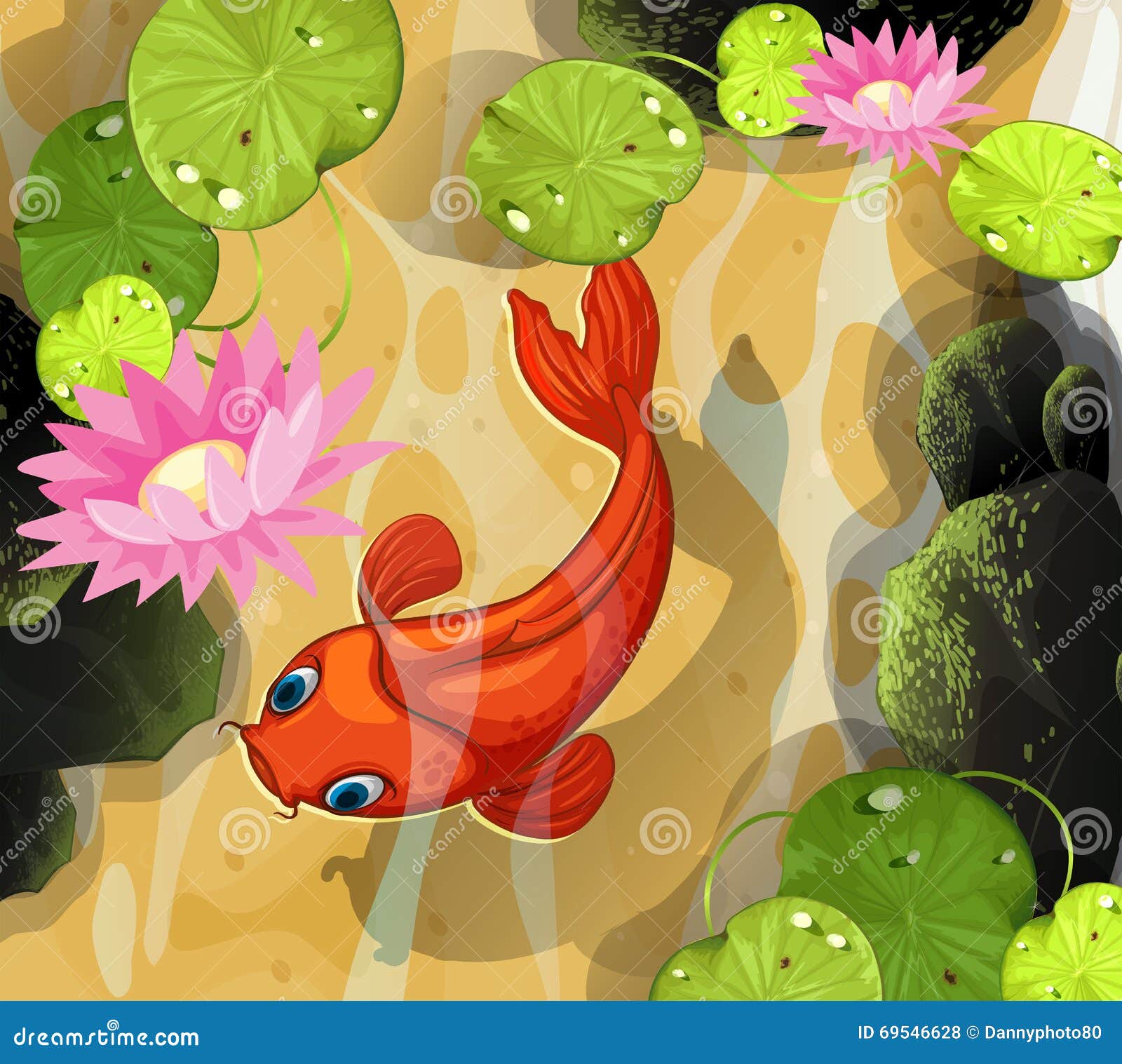 KoiSchwimmen im Teich vektor abbildung. Illustration von nave 69546628