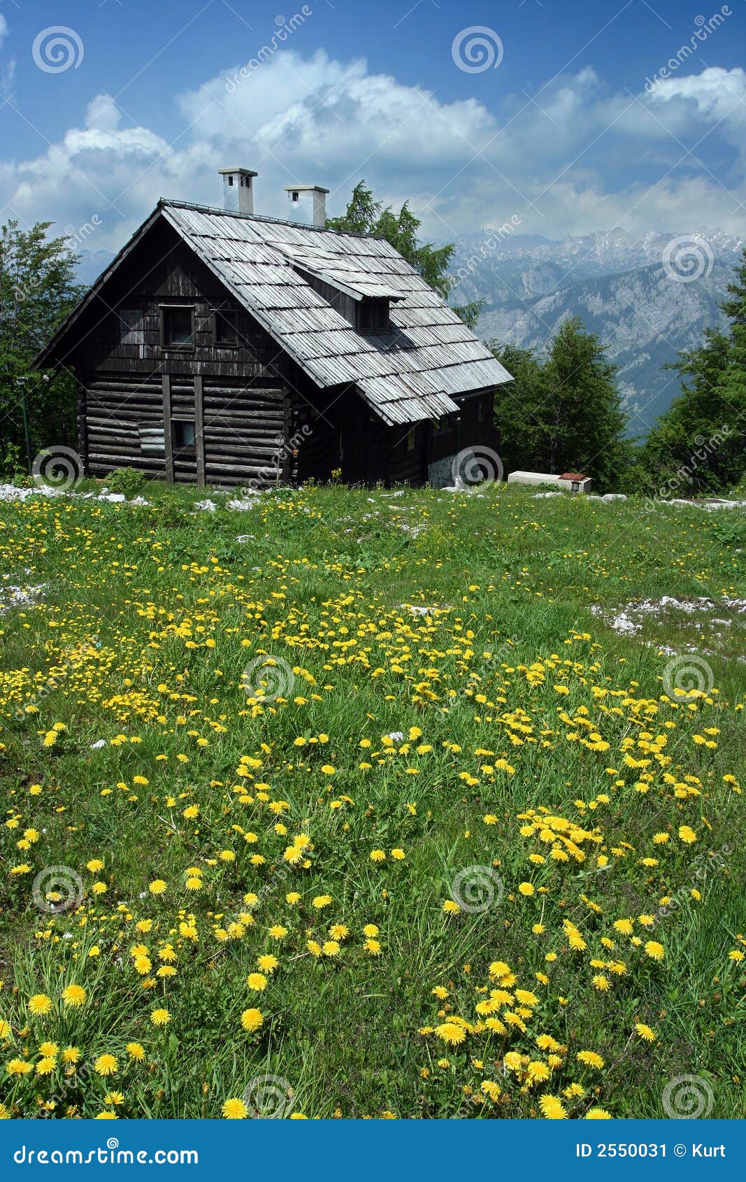 Kojaberg. Alps house slovenian trä