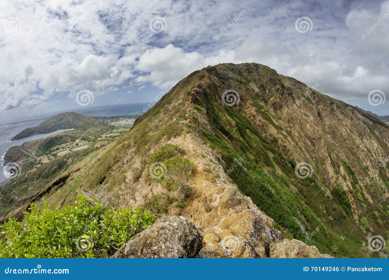 Koko Head Crater Rim stock foto. Image of vulkanisch - 70149246