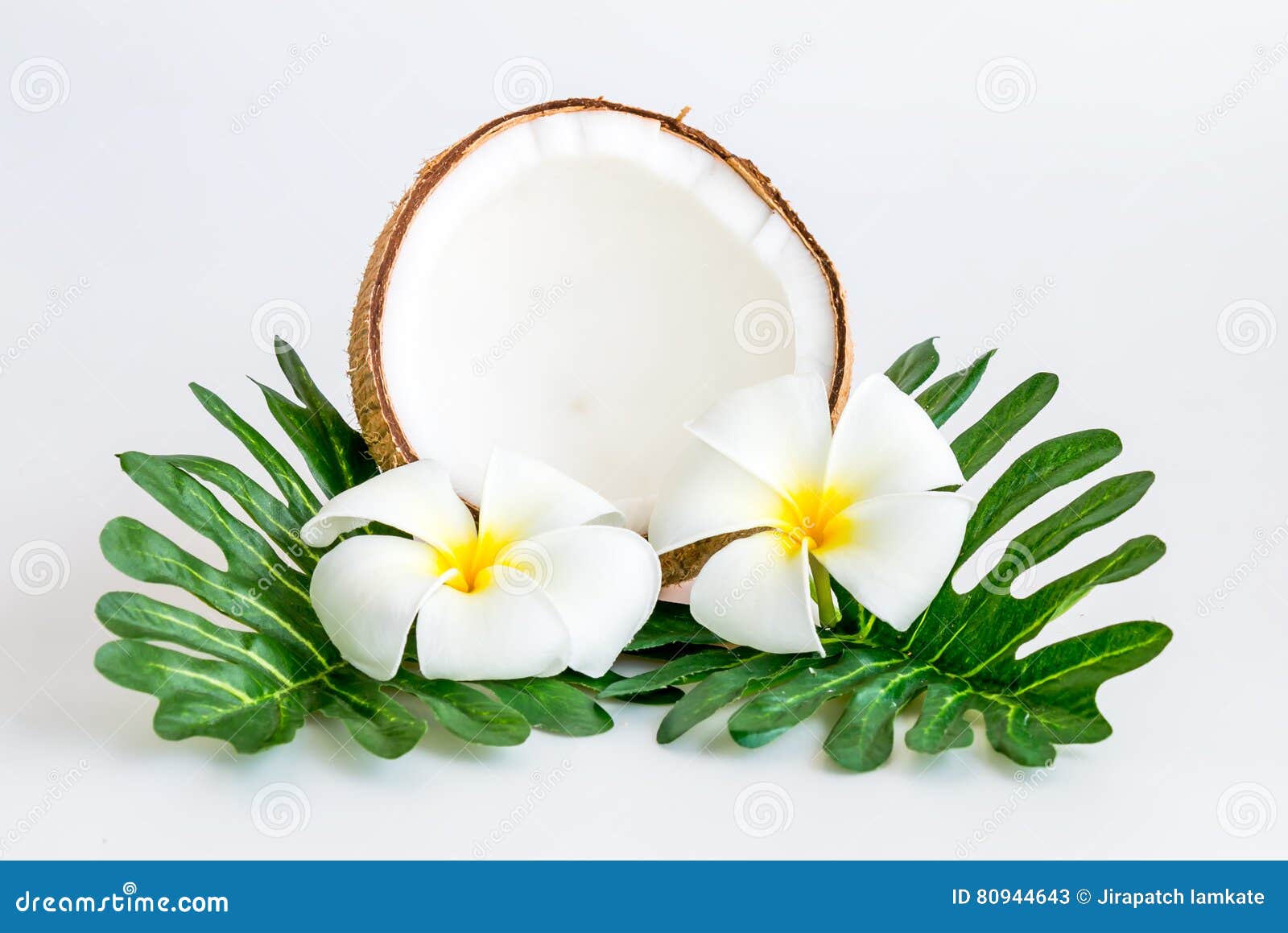 Kokosnuss Mit Blattern Und Blume Stockbild Bild Von Blume Blattern