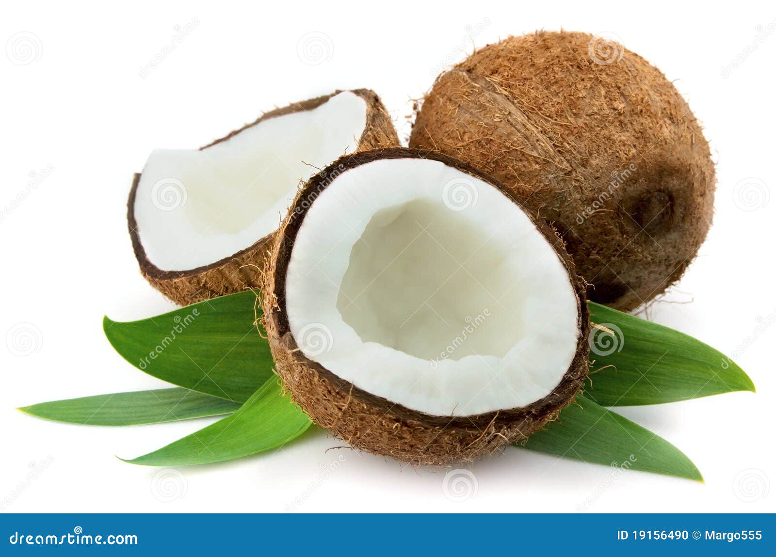 Kokosowi liść. Tła zbliżenia koks opuszczać biel