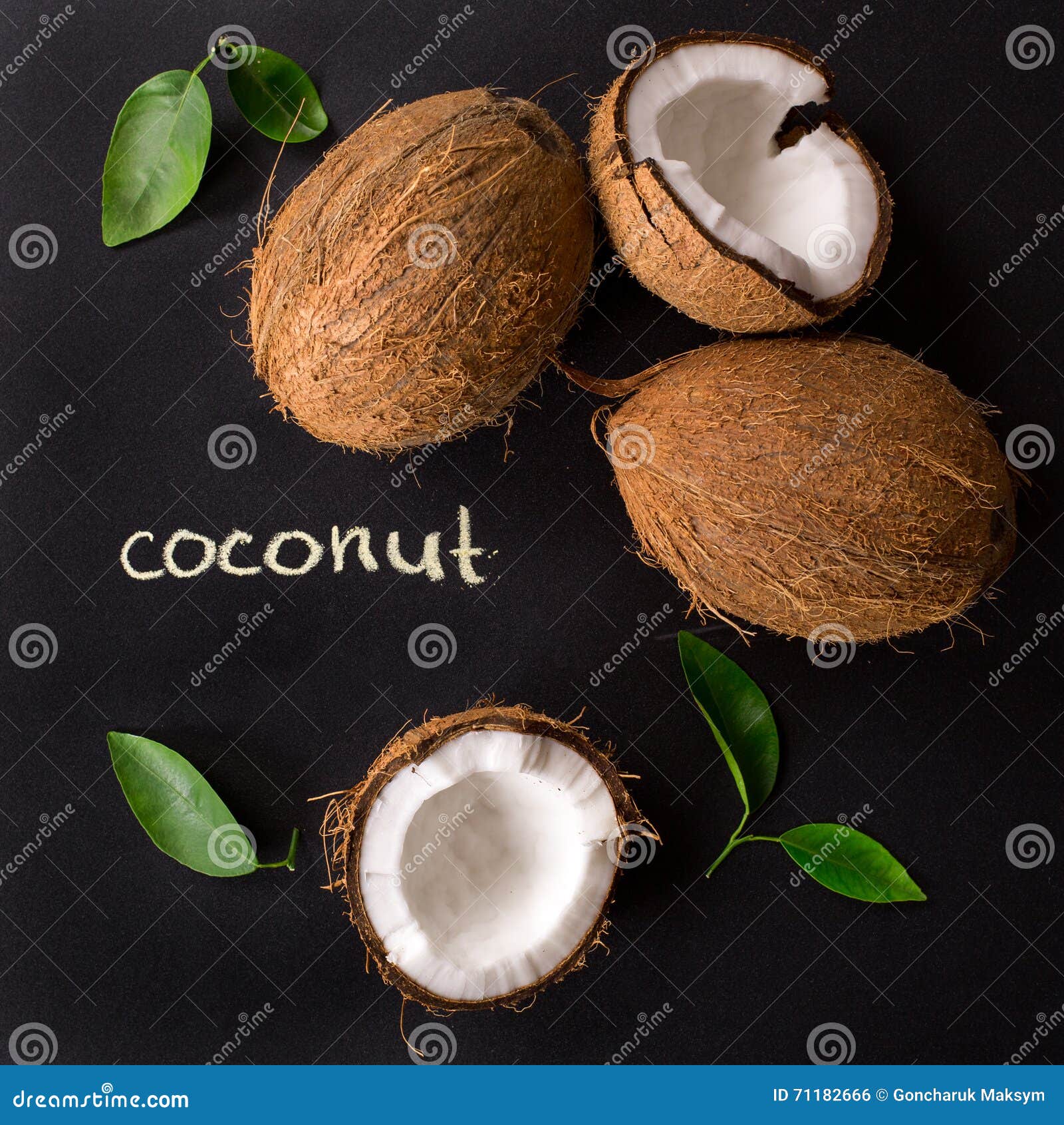 Kokosowy plakat Koks z zieleń liśćmi odizolowywającymi na czarnym tle złamany kokosów