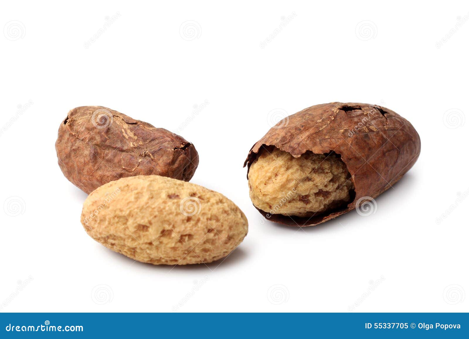Kola nuts stock image. Image of close, flavor, bean, delight 55337705