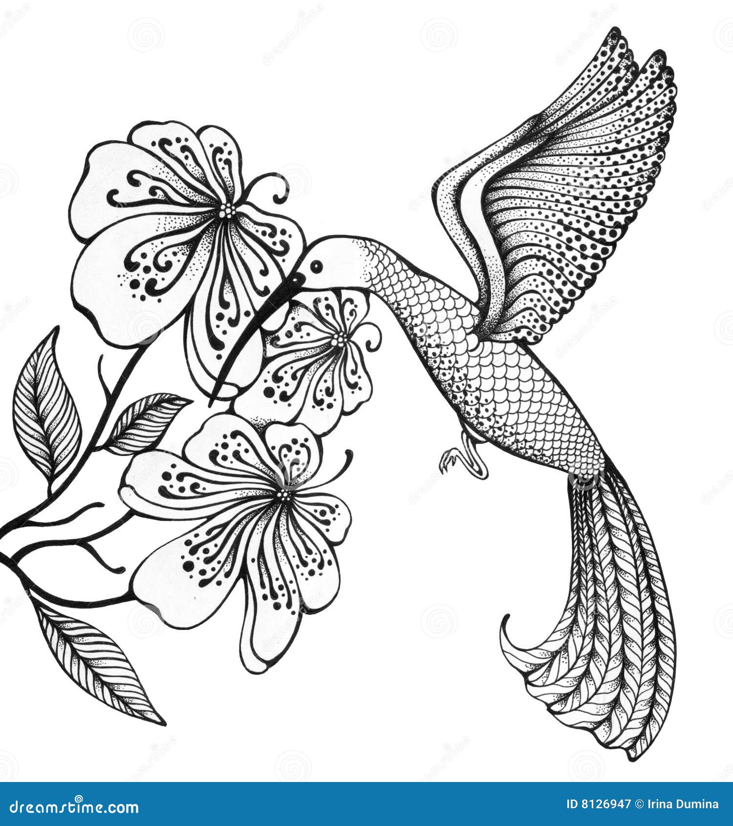 kolibri stock illustration illustration of leaves small