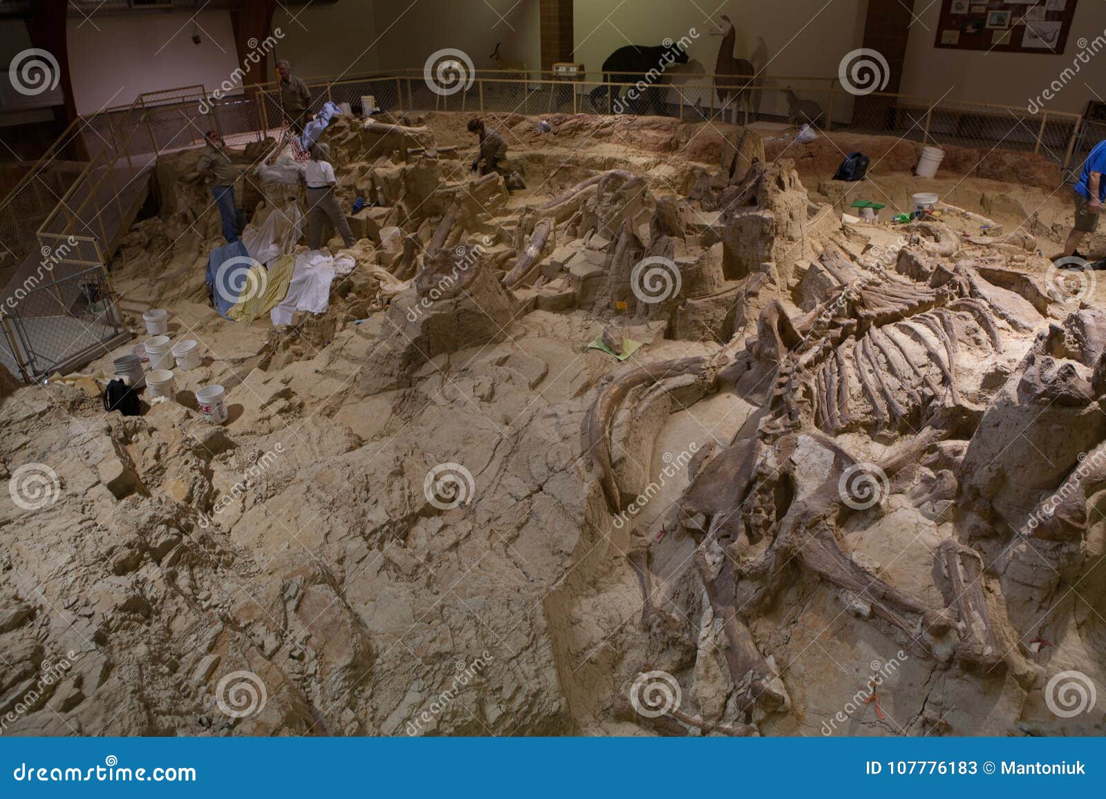 Kolossal plats av Hot Springs, South Dakota. Kolossal plats i South Dakota Det är museet och den Paleontological platsen nära den varma våren, ut Dakota Det är en aktiv paleontological plats som forskning och utgrävningar fortsätter på