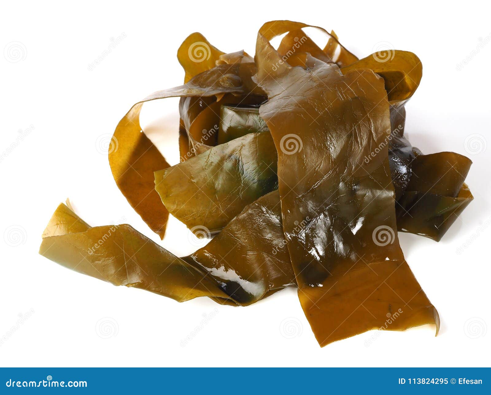 Kombu Kelp - Alga Kombu stock image. Image of food, japan - 113824295