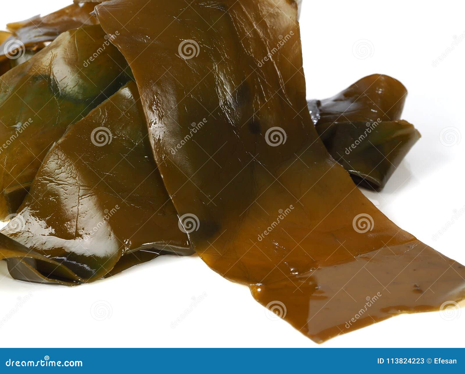 Kombu Kelp - Alga Kombu stock image. Image of calcium - 113824223